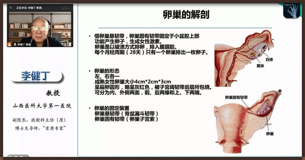 右卵巢囊腔解密：备孕路上的谣言与真相