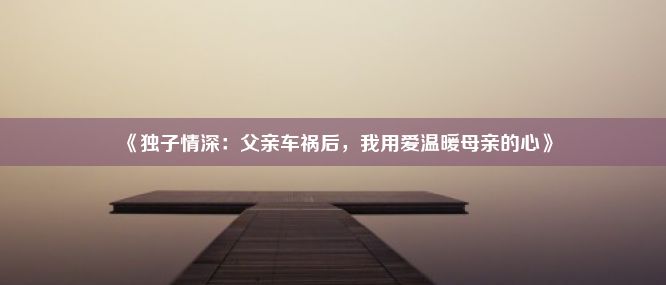 《独子情深：父亲车祸后，我用爱温暖母亲的心》