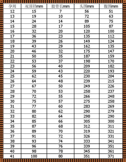 1～40周胎儿股骨长标准数值，怀孕路上的“指南针”