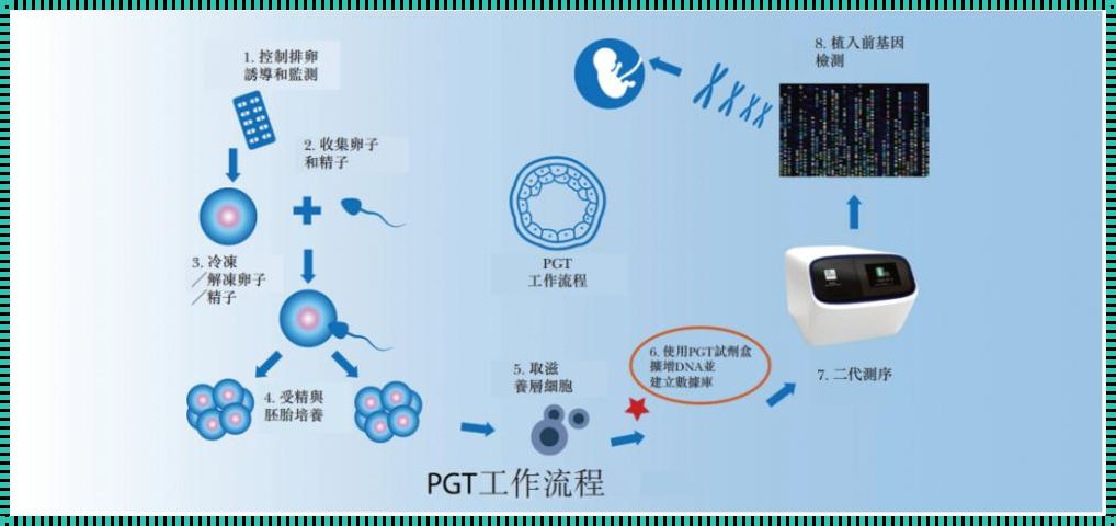 第三代试管婴儿：育儿新篇章