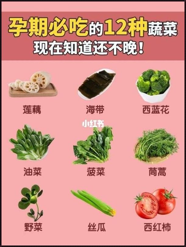 备孕必吃的12种蔬菜：孕育生命的绿色守护者