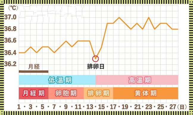 怎样推算排卵期最准确？掌握关键技巧助你成功备孕！