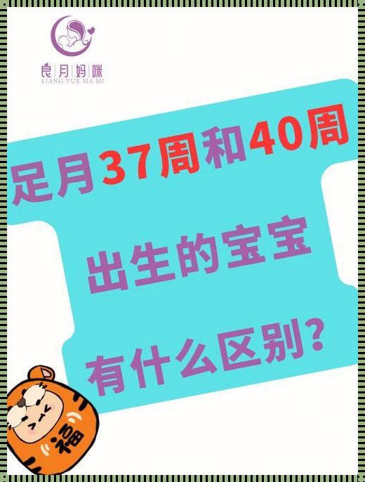 37周孕与40周孕的惊人差异