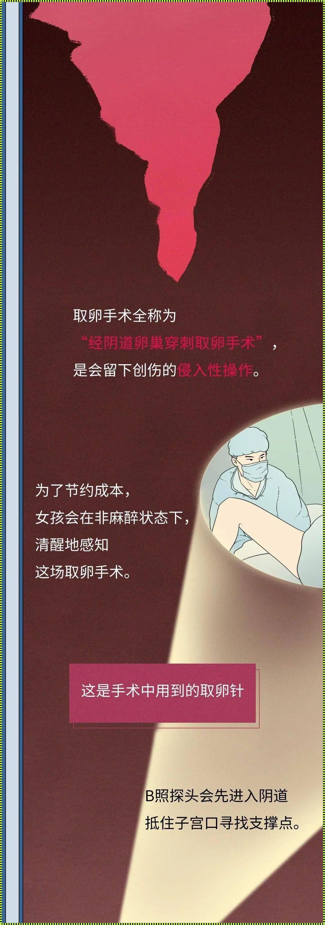 女性为什么不能捐卵？备孕路上惊现的疑惑