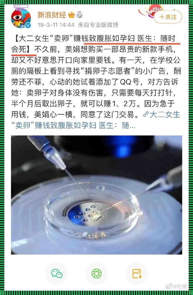 《女人一生可以捐卵几次》——一部关于爱与奉献的电影