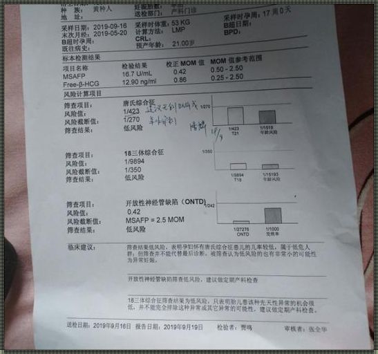 唐氏综合征筛查：一场责任与趣味并存的探索之旅