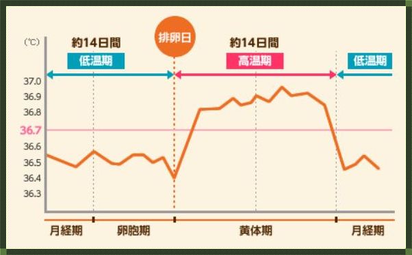 探讨卵泡期同房对怀孕的影响及备孕策略