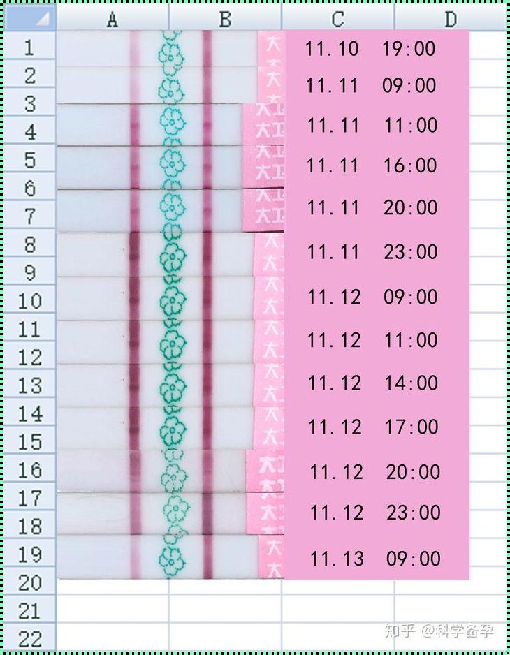 排卵周期与时间把握——备孕路上的重要一课