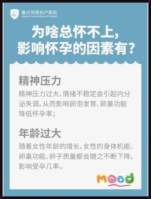 《备孕之路：揭秘备孕成功的关键因素》