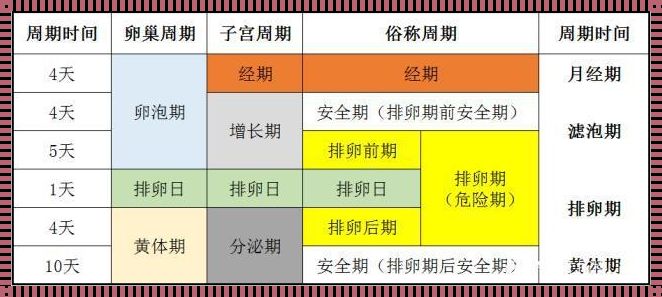 揭秘女性生理周期——卵泡期、黄体期与排卵期的划分及其对备孕的影响