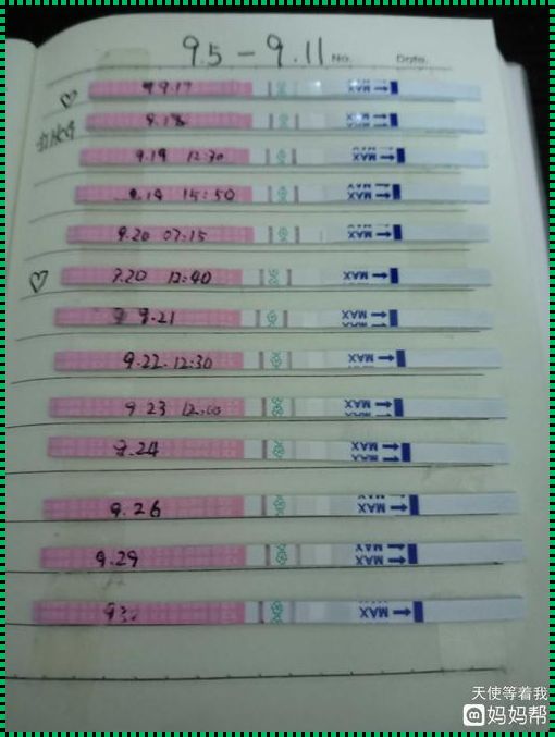 《排卵后的试纸，惊现备孕之路》