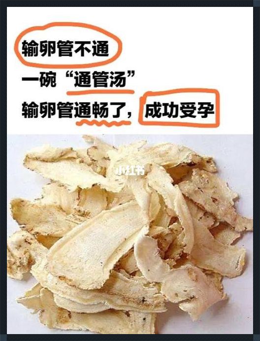 探寻输卵管堵塞的中药调理之道——为备孕之路添一份温暖与希望