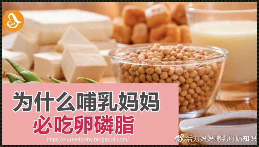 儿童为何不宜食用卵磷脂？揭秘备孕期间的饮食禁忌！