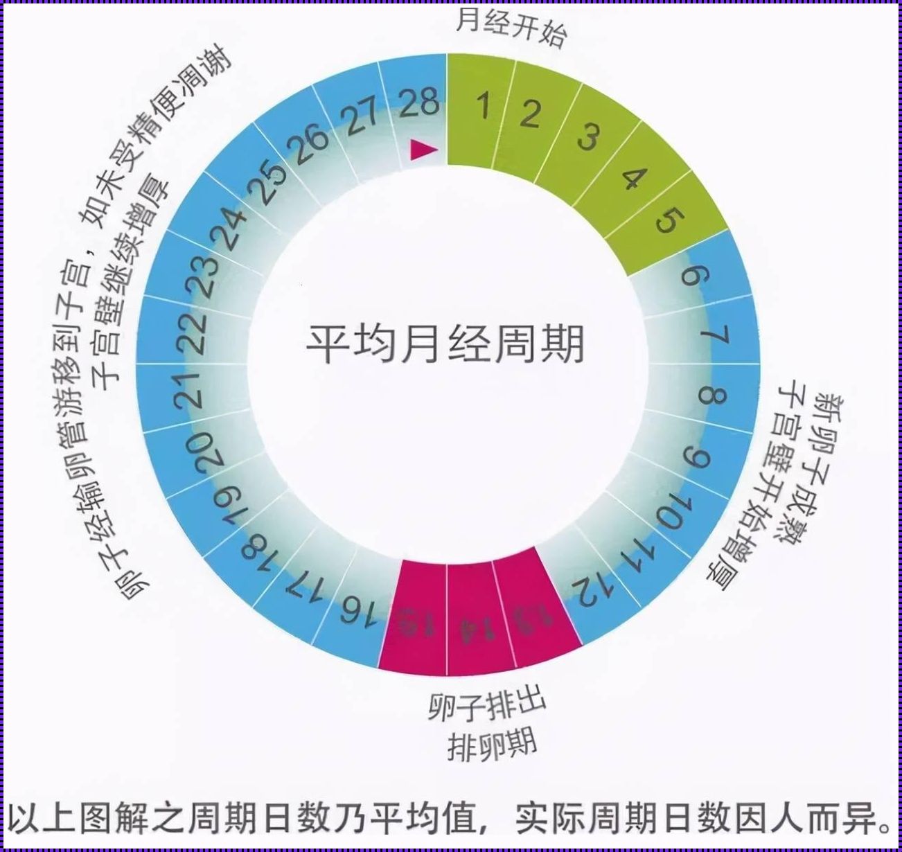 《解码生育密码：精准捕捉你的排卵时刻》