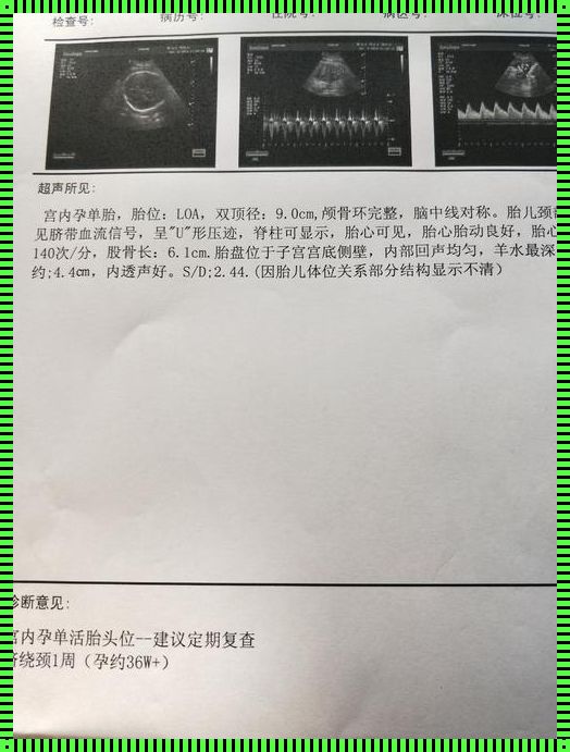 双顶径3.6cm的胎儿：绽放生命之花的时刻