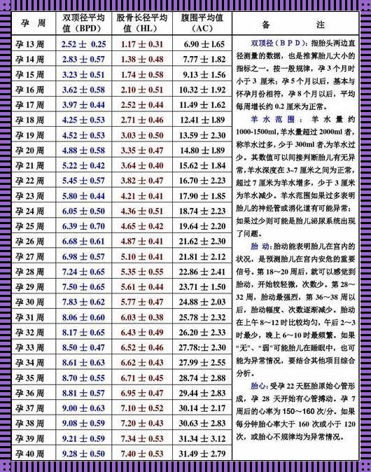 双顶径3.6cm的胎儿：绽放生命之花的时刻