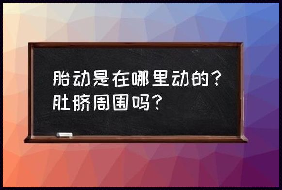 胎动在肚脐周围一定是女孩吗？——科学与人文的探讨