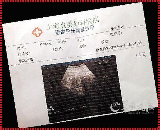 《胎儿贫血的B超诊断后：一位新手母亲的思考与行动》