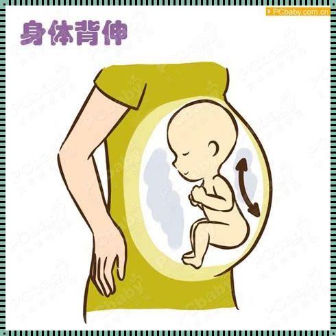 怎么计算宝宝在肚子里的重量