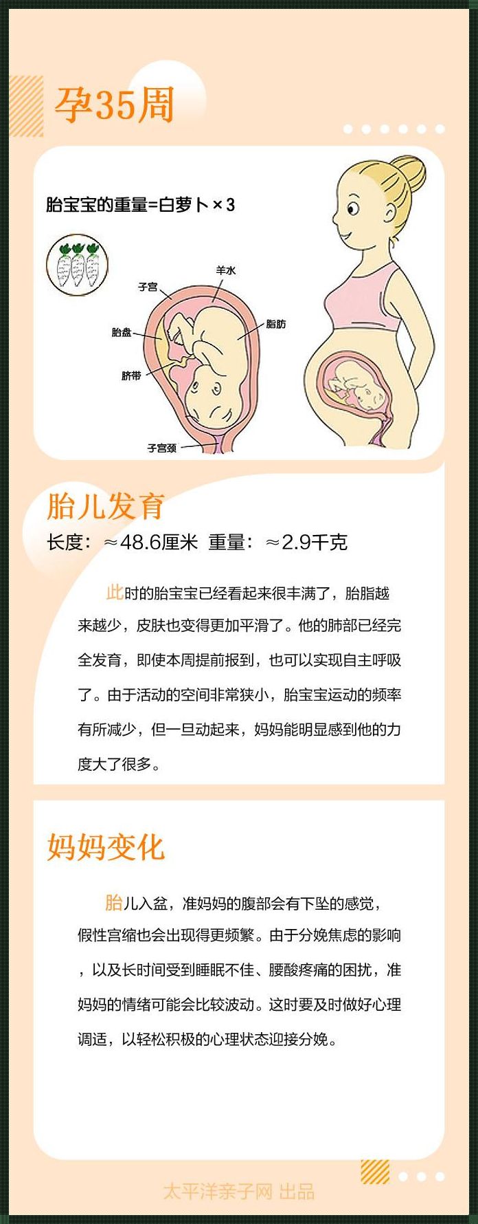 孕33周到35周胎儿一直没长，怎么办？