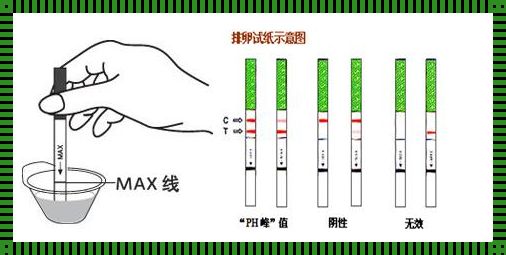 受孕几天能测出怀孕