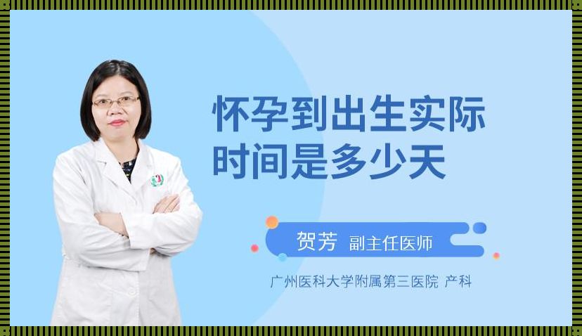 宝宝出生多久可以出门：新手父母的指南