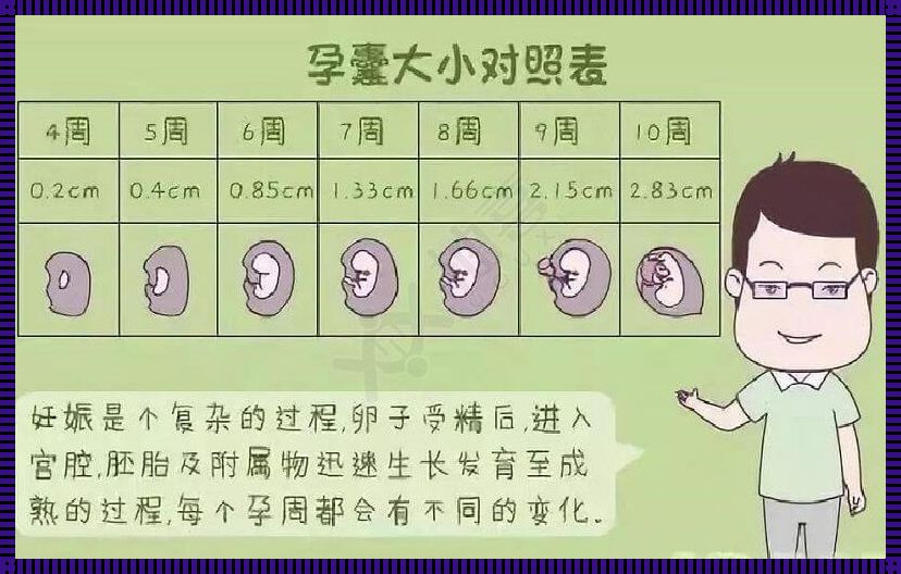 孕妇宫底与孕周对照表的奥秘：深入剖析孕期母体的变化