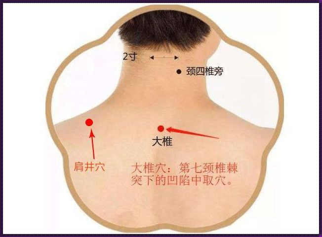 怀孕六个月手指头感觉胀胀的——独特的孕期体验与思考