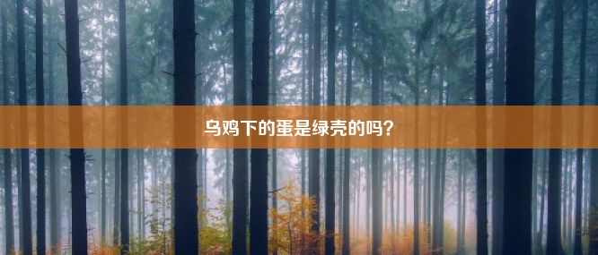 乌鸡下的蛋是绿壳的吗？