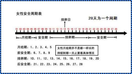 大姨妈结束后几天是排卵期：揭示备孕中的关键时机