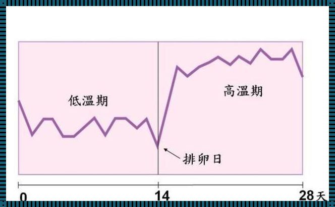 排卵有什么感觉四大表现特征