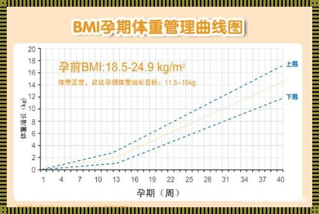 从“预估胎儿体重”到“实际的差别”：探索育儿的整体艺术