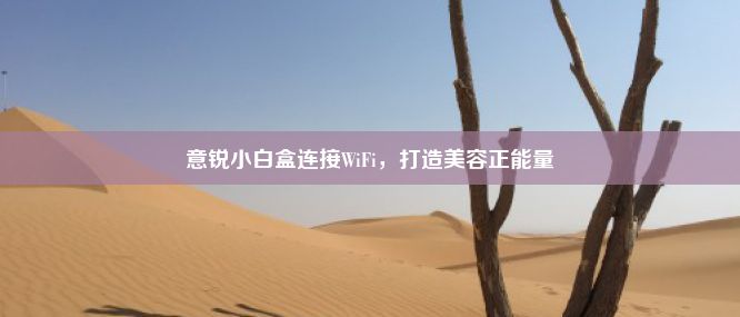 意锐小白盒连接WiFi，打造美容正能量