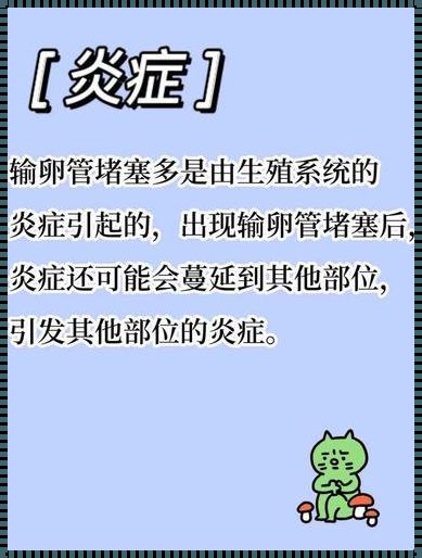 输卵管堵塞的5个症状——揭示女性生育的隐秘阻碍