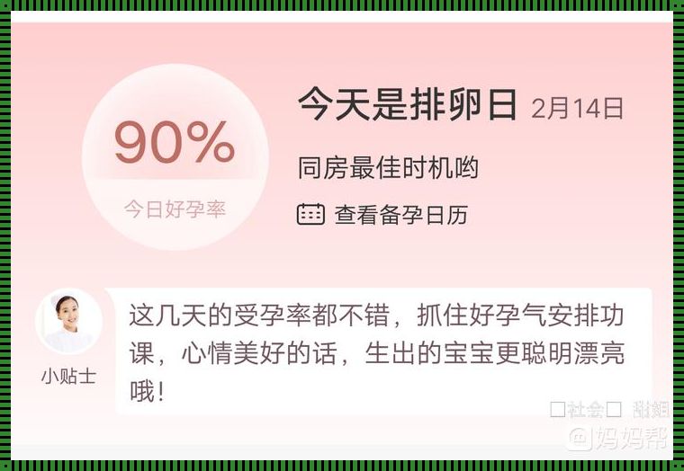 排卵日三天连续同房，备孕路上的真实疑惑