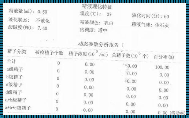 怀孕四个月要做什么检查项目：一位准妈妈的亲身体验和心得分享