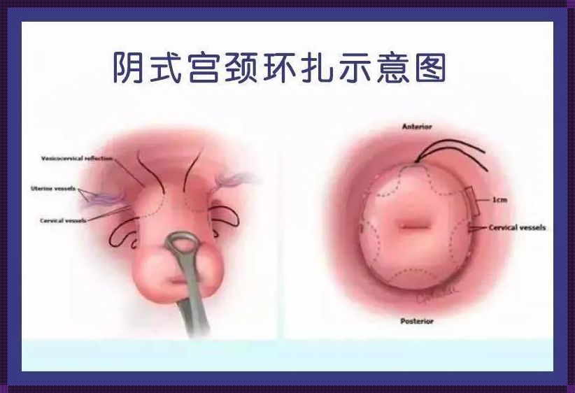 怀孕五个月宝宝在干嘛呢：探索生命奇迹的奇妙旅程