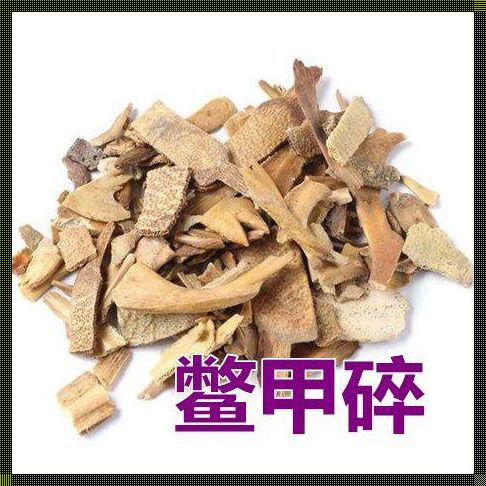 深入探讨醋鳖甲的性味归经——一种完善的中药认知