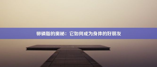 卵磷脂的奥秘：它如何成为身体的好朋友