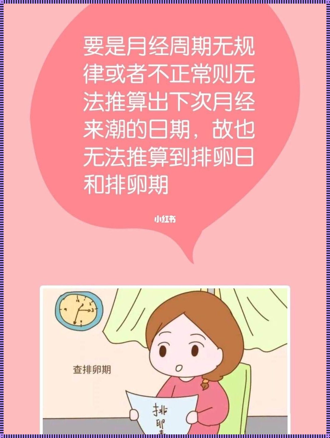 排卵与月经的密切关系：深入了解女性的生理奥秘