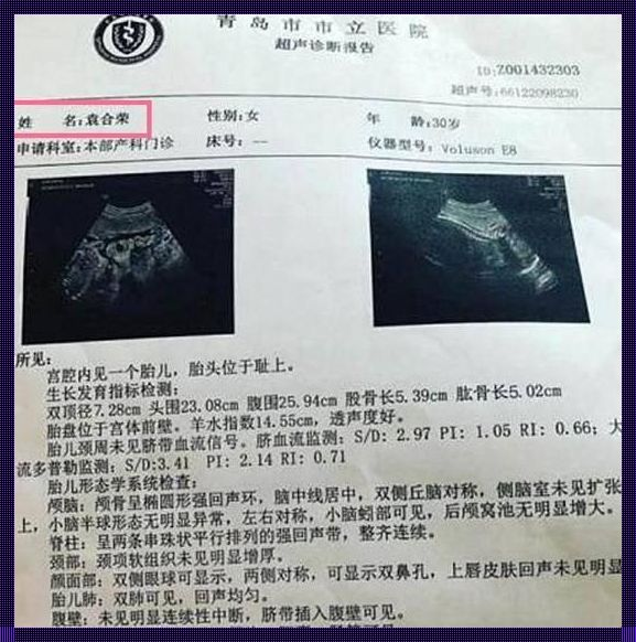 20周是怀孕几个月了——探寻生命的奇妙旅程