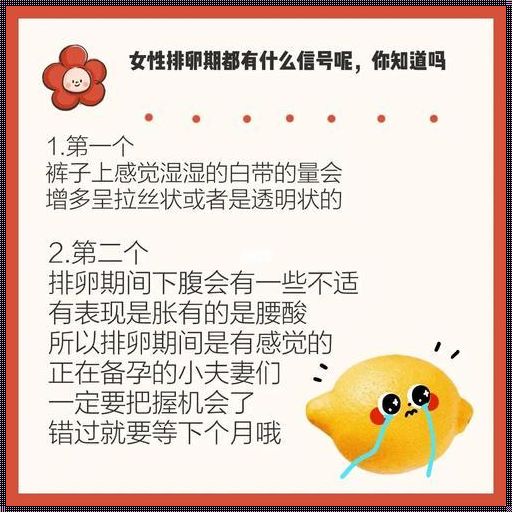 女性排卵期有什么症状——我的亲身体验与认知