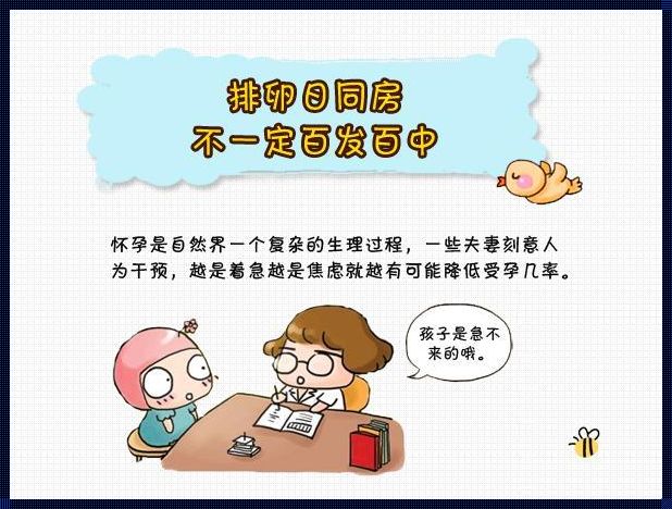 排卵期前几天同房会怀孕吗？深度分析备孕中的关键时机