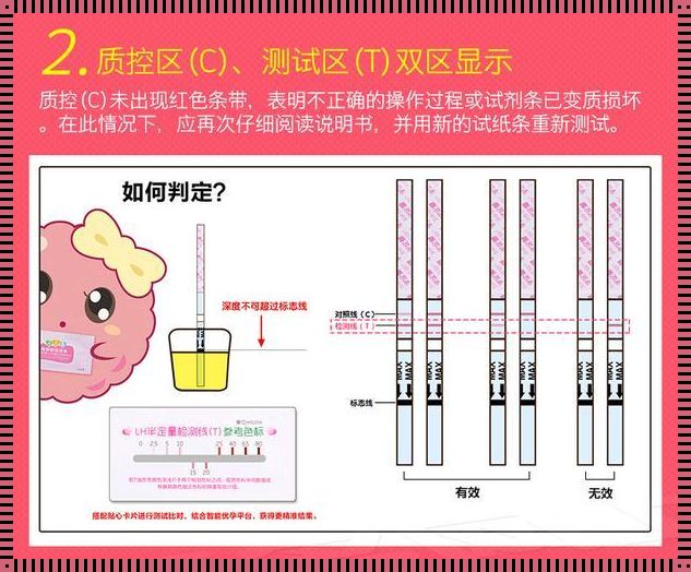 解密半定量排卵试纸：我的探索之旅