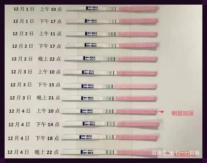 解密半定量排卵试纸：我的探索之旅