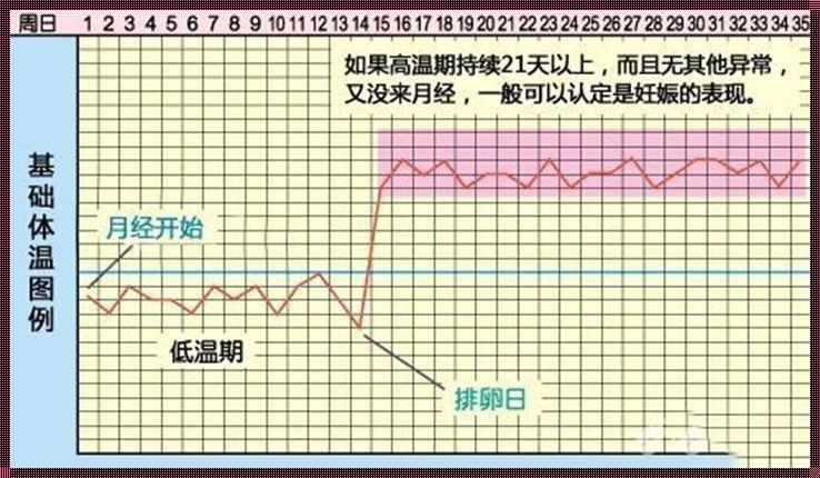 姨妈过后第一天同房怀孕几率：我的亲身经历与反思