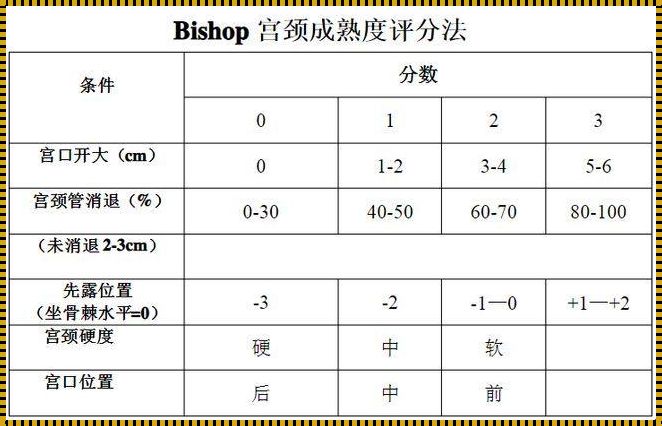 30周宫颈19mm能坚持到37周吗：我的亲身经历与思考