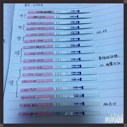 怀孕了还排不排卵，揭秘孕期生理奥秘