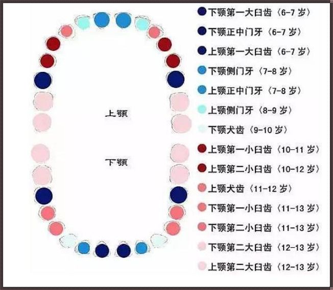 儿童掉牙齿的顺序和年龄：成长的印记