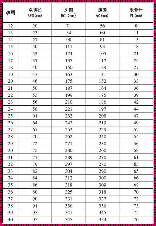 穿越时空的38周胎儿发育标准数据表